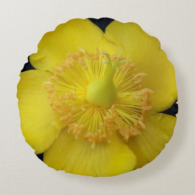Fleur Jaune Fermer Photo Rpund Coussin (Devant)