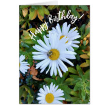 Fleur marguerite blanche avec carte d'anniversaire