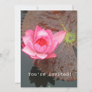 fleur nénuphar rose blanc invitation