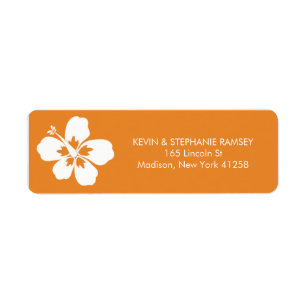 Fleur orange et blanche de ketmie