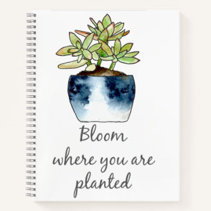 Fleur où planté Jade Pot Carnet Spiral