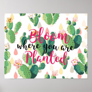 Fleur où vous avez planté Cactus Imprimer Poster