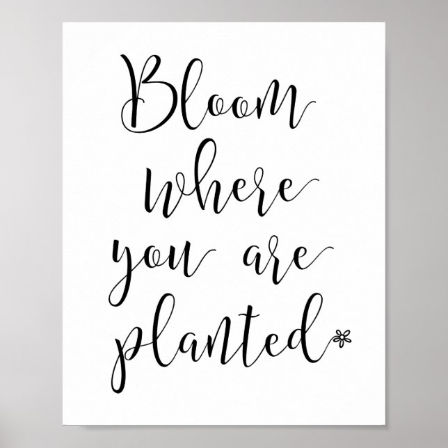 Fleur où vous avez planté Poster (Devant)