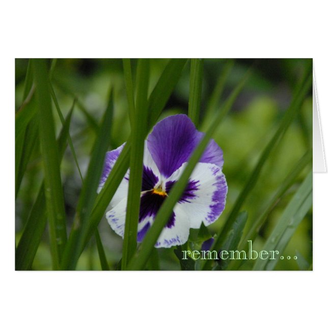 fleur où vous êtes plantés… (Devant horizontal)