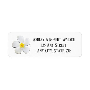 Fleur Plumeria blanche sur Jaune, Mariage moderne