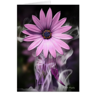 Fleur pourpre