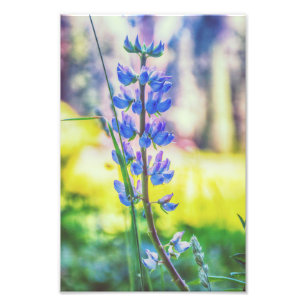 Fleur pourpre Impression photo