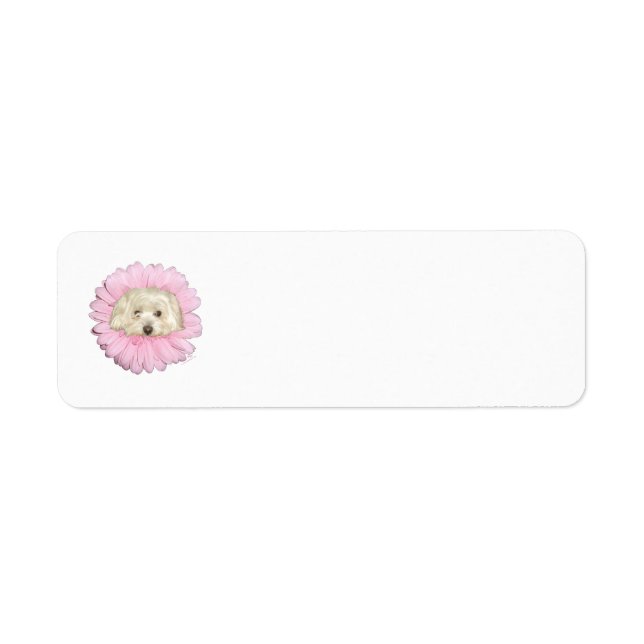 Fleur printemps Coton de Tulear (Devant)