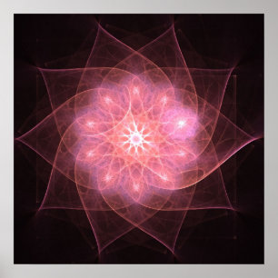 Fleur rose - affiche