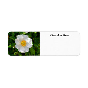 Fleur Rose Cherokee