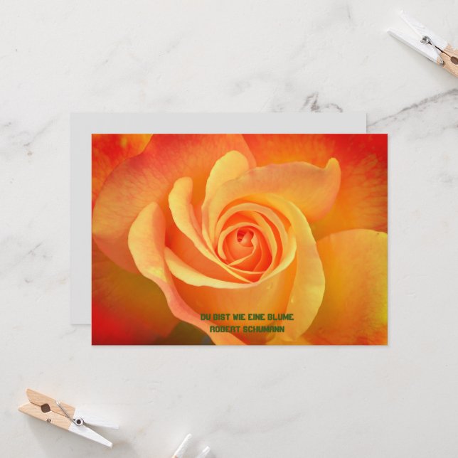 fleur Rose de carte de voeux (Devant/Arrière en situation)