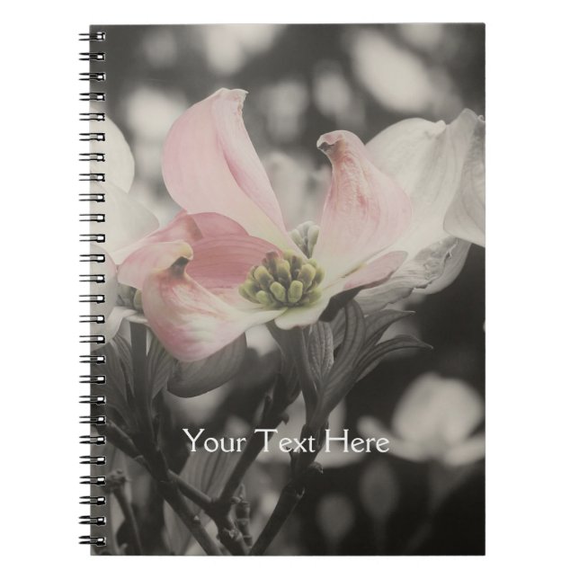 Fleur rose de cornouiller dans le carnet noir et (Devant)