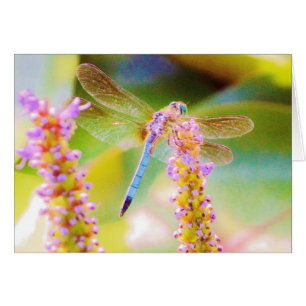 fleur rose et mouche dragon