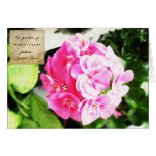 Fleur rose et proverbe de gentillesse