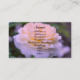 Fleur Rose Jaune En Carte de visite Fleur