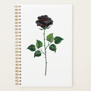 Fleur rose noire