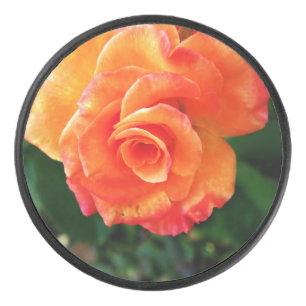 Fleur rose orange