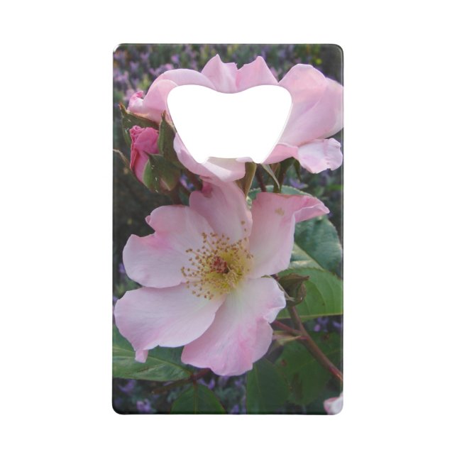 Fleur Rose rose (Devant)
