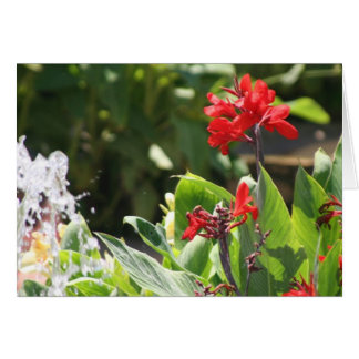 Fleur rouge grande
