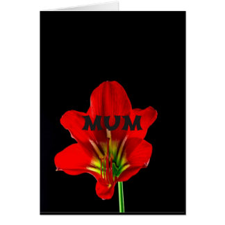 Fleur rouge maman