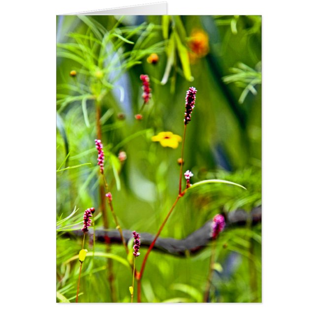 Fleur sauvage (Devant)