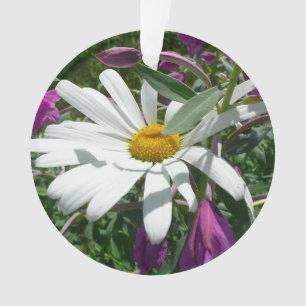 Fleur sauvage Daisy et Fireweed