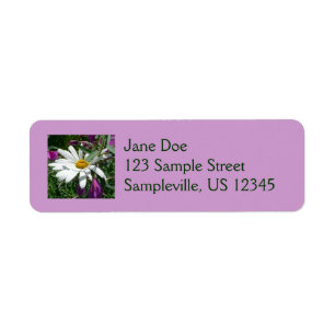 Fleur sauvage Daisy et Fireweed