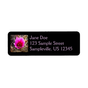 Fleur sauvage de cactus en fleurs (Prickly Pear)