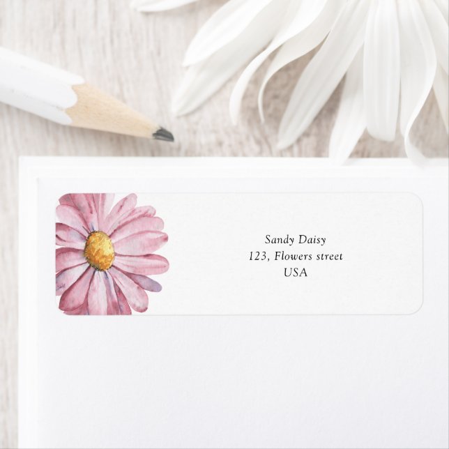 Fleur sauvage de marguerite rose (En situation)