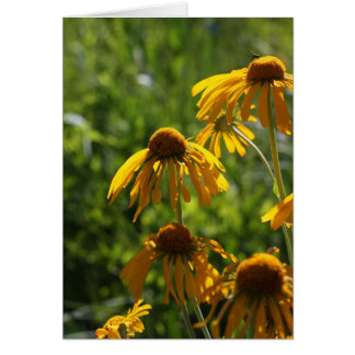Fleur sauvage d'or
