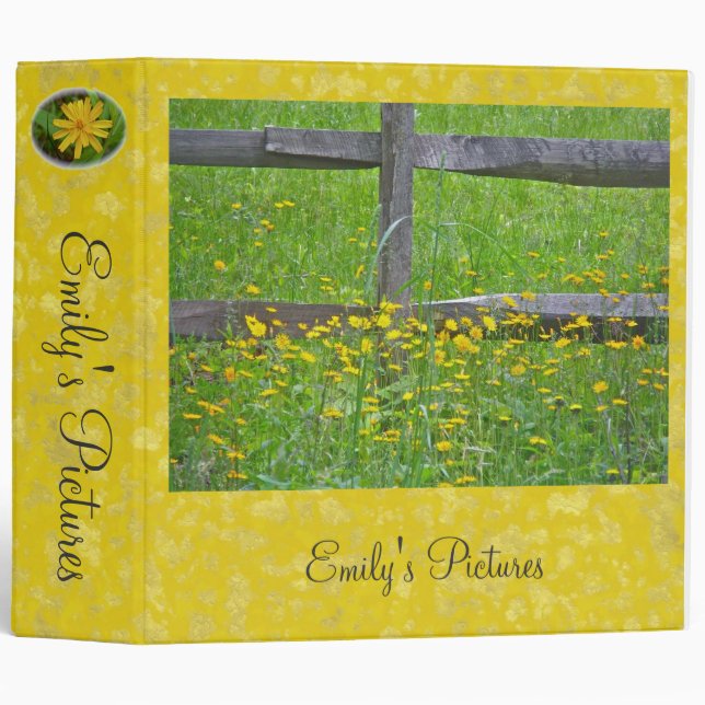 Fleur sauvage Hawkweed à Split Rail Fence Classeur (Devant/Côté)