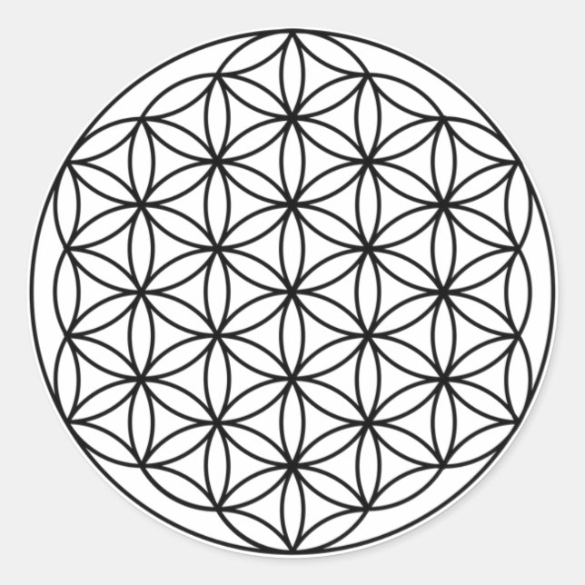 Fleur Sempiternelle Des Stickers Vie (Devant)