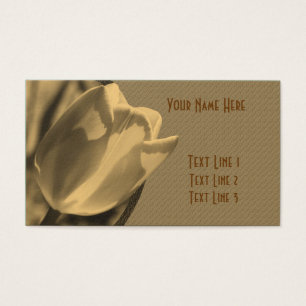 Fleur Sepia Tulip âgée