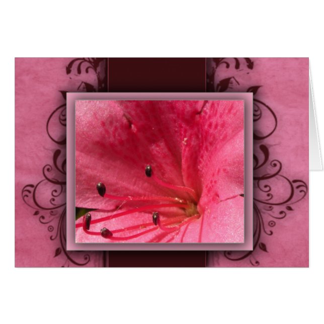 Fleur tropicale rose de ketmie (Devant horizontal)