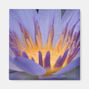 Fleur violet et or - Aimant