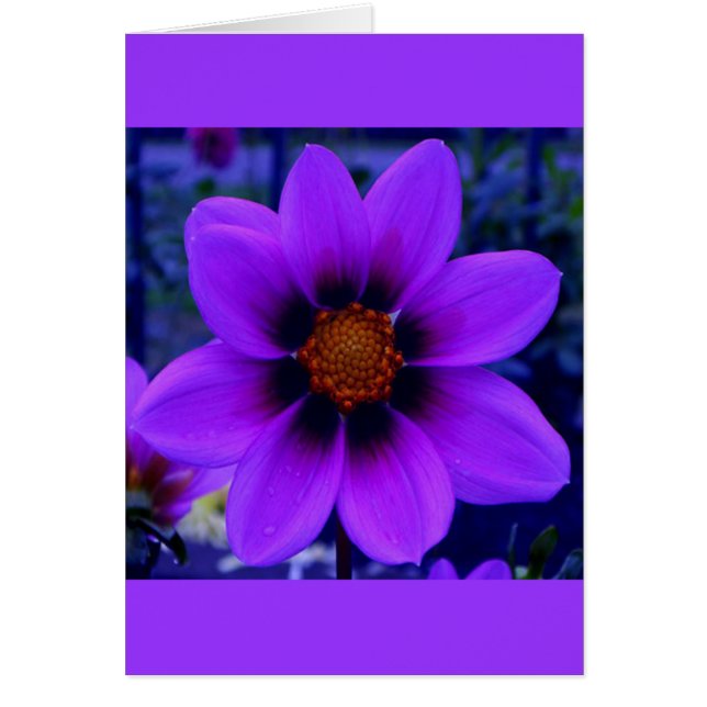 Fleur violette à la carte Dusk (Devant)