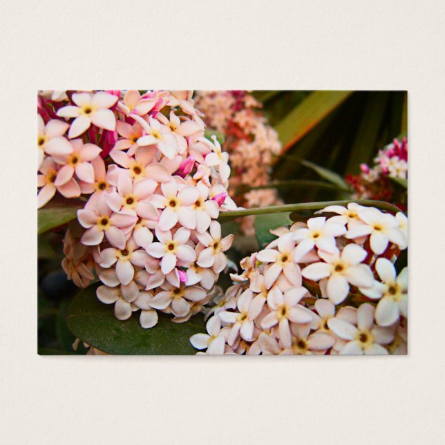 Fleurs (Devant)