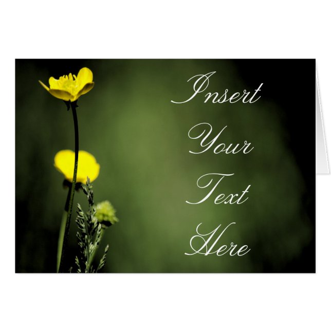 Fleurs (Devant horizontal)