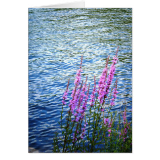 "Fleurs à Long Pond"