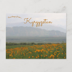 Fleurs au Kirghizistan Carte postale