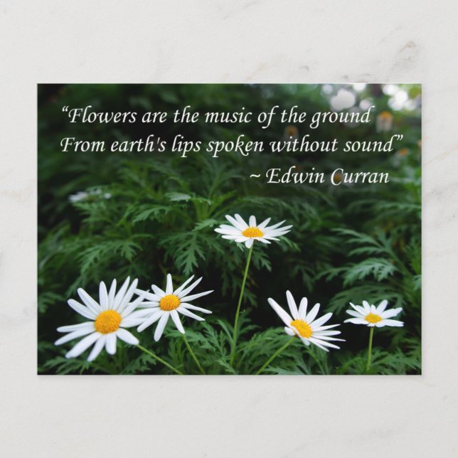 Fleurs avec devis Carte postale (Devant)