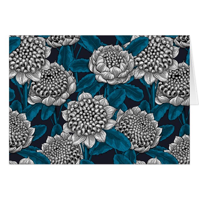 Fleurs blanches de waratah (Devant horizontal)