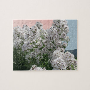 Fleurs blanches florissantes Puzzle