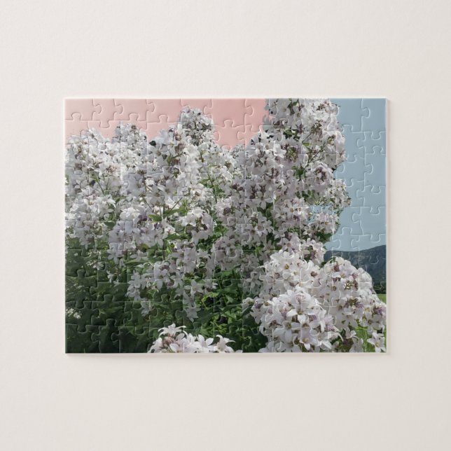 Fleurs blanches florissantes Puzzle (Horizontal)