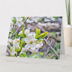 Fleurs blanches minuscules - Carte Anniversaire