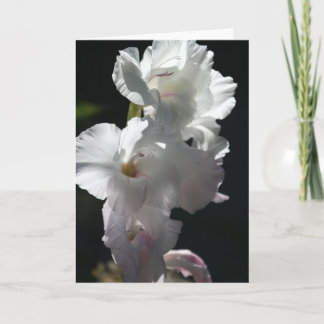Fleurs blanches sur la carte de voeux noire