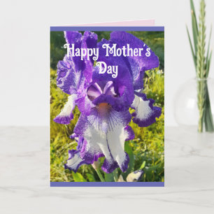 Fleurs Bleues Floral Iris Irises Carte Fête des mè