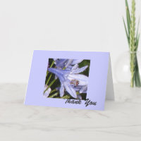 Fleurs bleues le matin 1, Merci