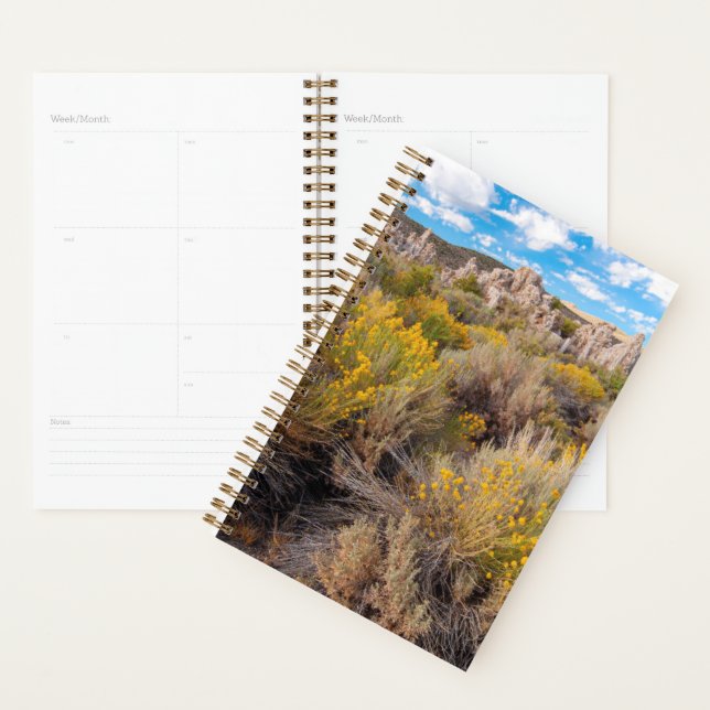 Fleurs | Blooming Sagebrush Californie (Devant avec enveloppe)