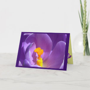 Fleurs Cartes Fleurs Crocus Fleurs Carte de voeux